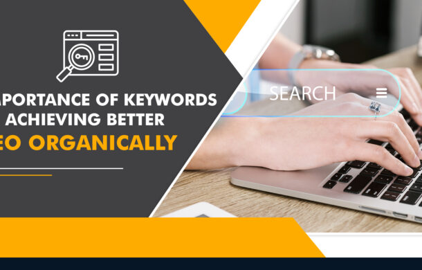 "Mastering Keywords: Key to Organic SEO Success in 2023"